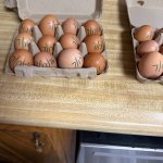 Fresh eggs from Mary Adwell