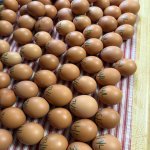 Fresh eggs from Mary Adwell