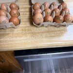 Fresh eggs from Mary Adwell